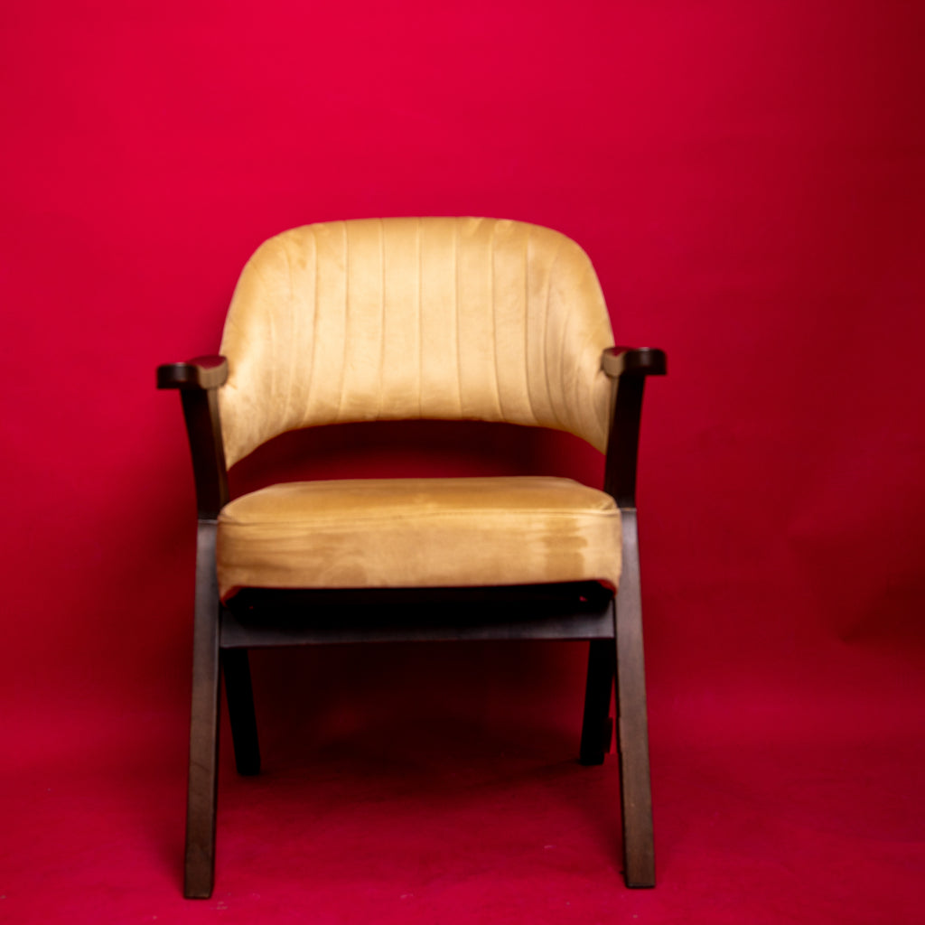 Fauteuil Vintage en Velours