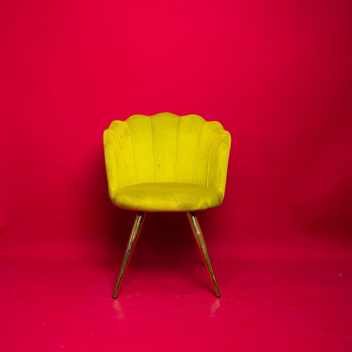 Chaise / Fauteuil Coquillage en Velours