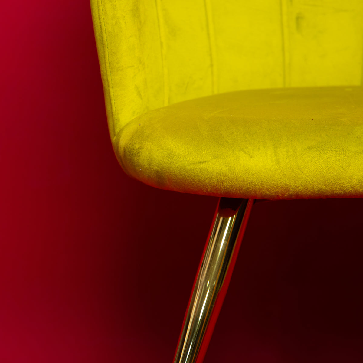 Chaise / Fauteuil Coquillage en Velours