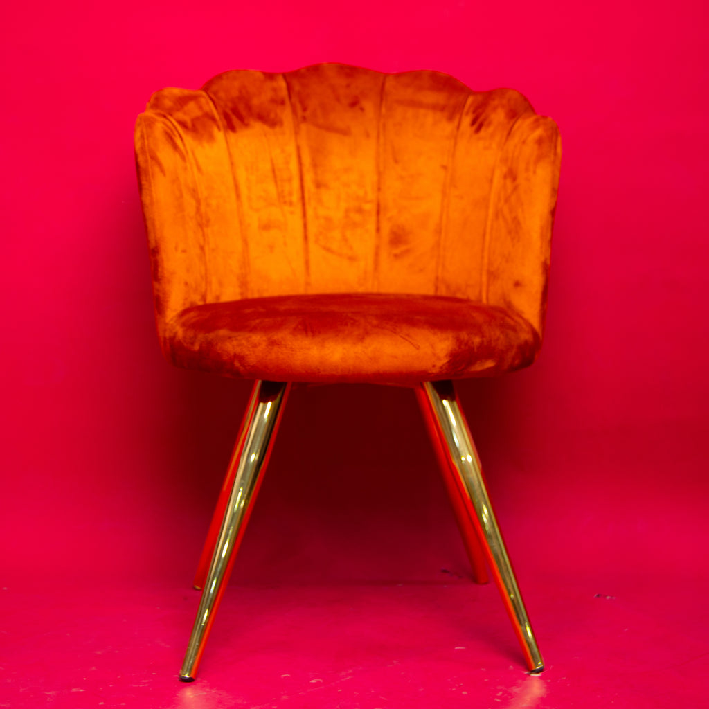 Chaise / Fauteuil Coquillage en Velours