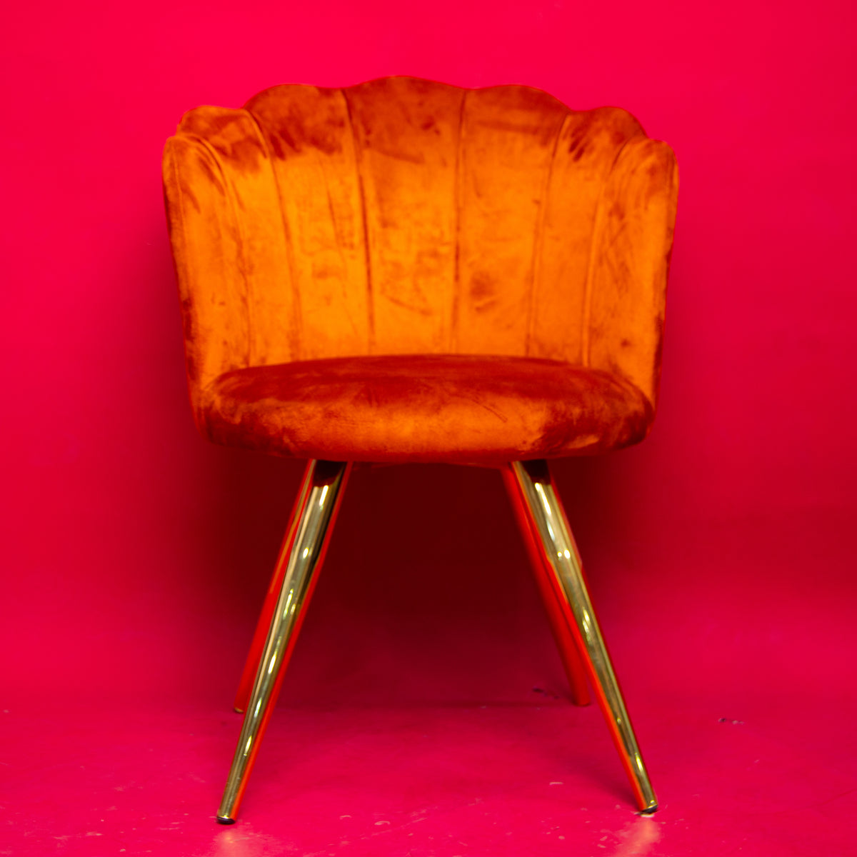 Chaise / Fauteuil Coquillage en Velours
