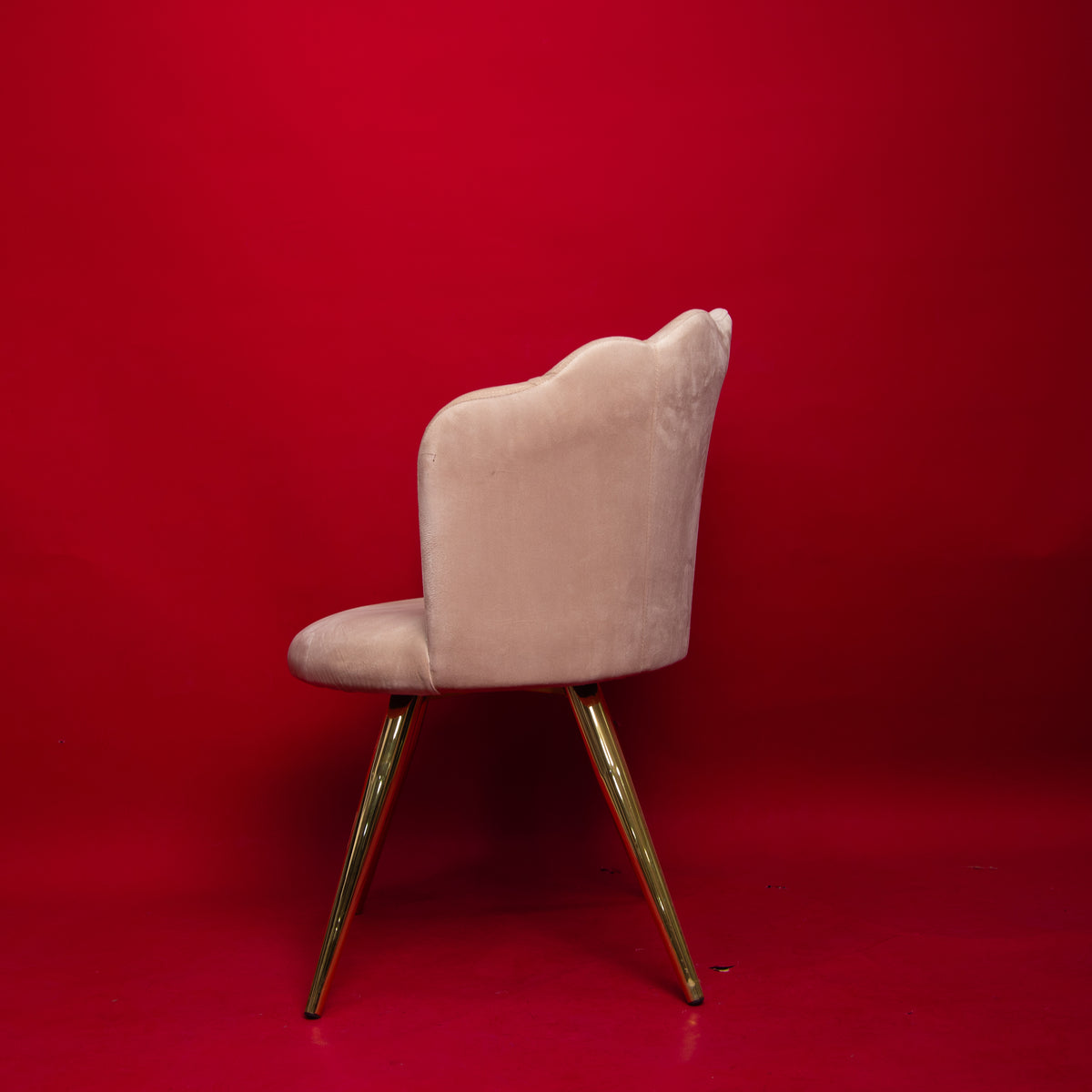 Chaise / Fauteuil Coquillage en Velours